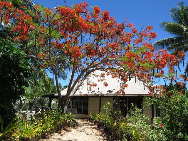 Entrance to our deck and bure