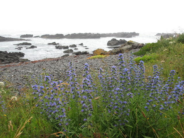 IMG_0480.JPG