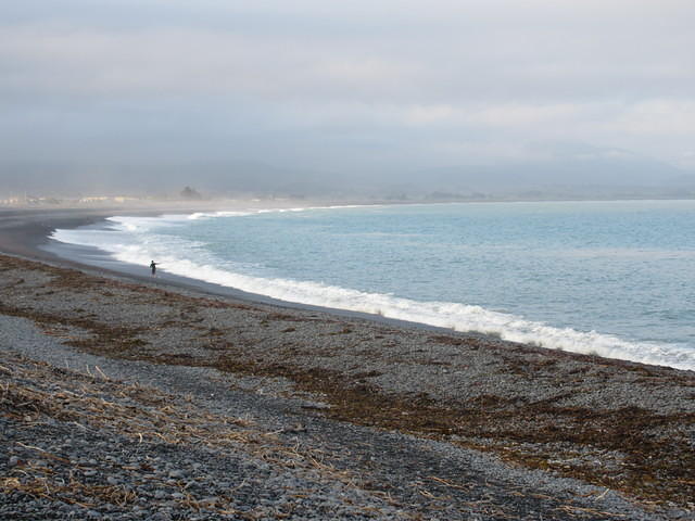 The beaches along Kaikoura