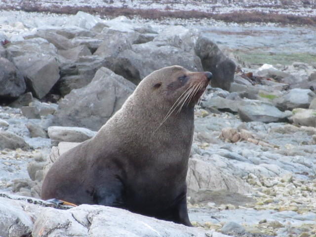 IMG_0535.JPG