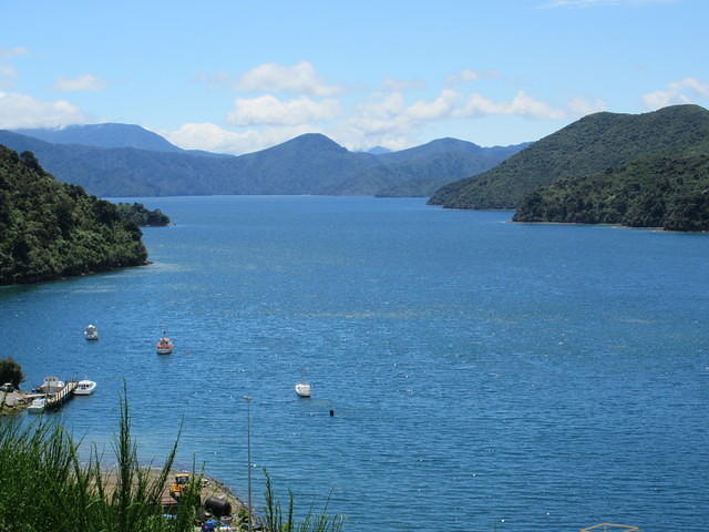 Queen Charlotte Sound from the viewpoint above Picton.