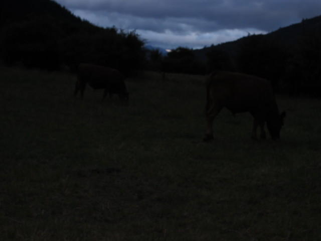 The start of our night hike up to see a waterfall and see glow worms.