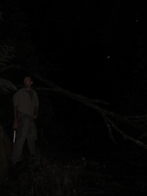 Hiking to the glow worm location and waiting for it to be completely dark (about 9:30 p.m.)