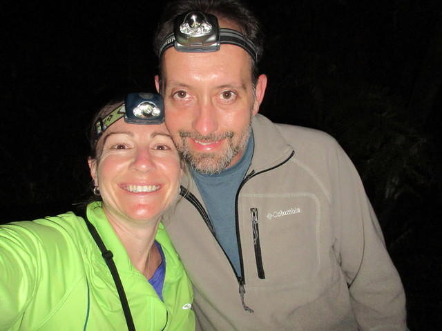 In the dark, the glow worms light up the hillside with blue luminescent lights that looks like hundreds of stars in the sky.