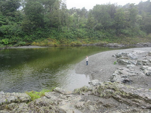The river below Pelorus Bridge.