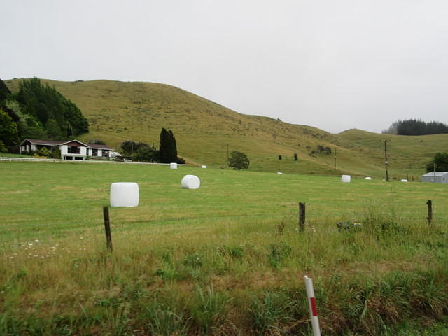 The wheat bails look like large marshmallows strewn across the fields.