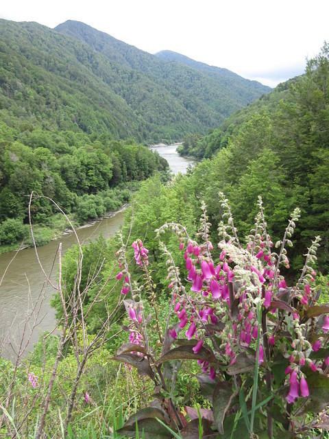 IMG_0829.JPG