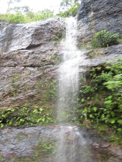 IMG_0971.JPG