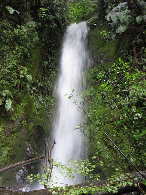The waterfall above Jackson's Retreat.