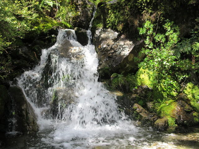 IMG_1165.JPG