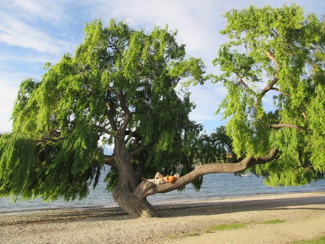 IMG_1714.JPG