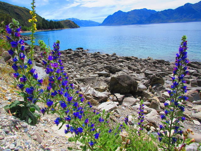 IMG_1744.JPG