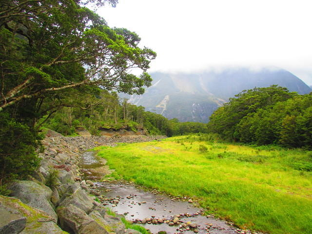 IMG_1880.JPG
