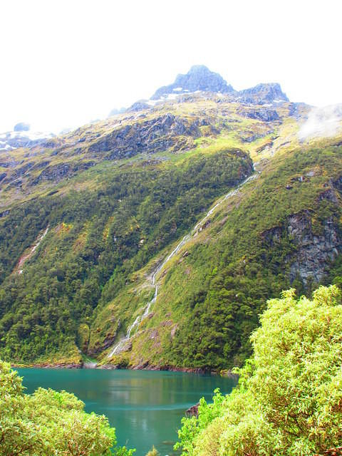 IMG_1949.JPG