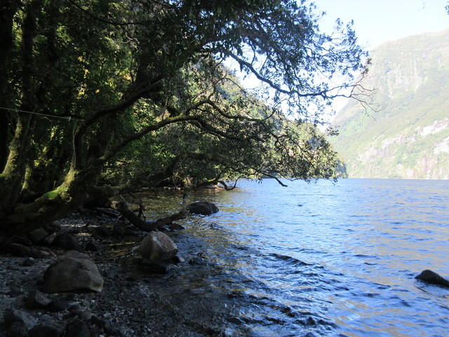 IMG_2060.JPG