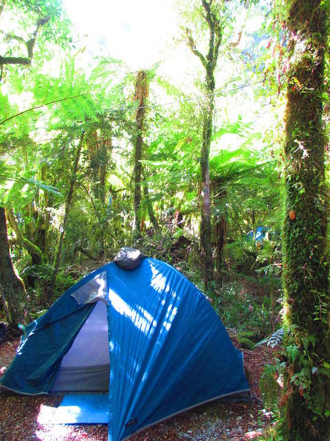 Our tent