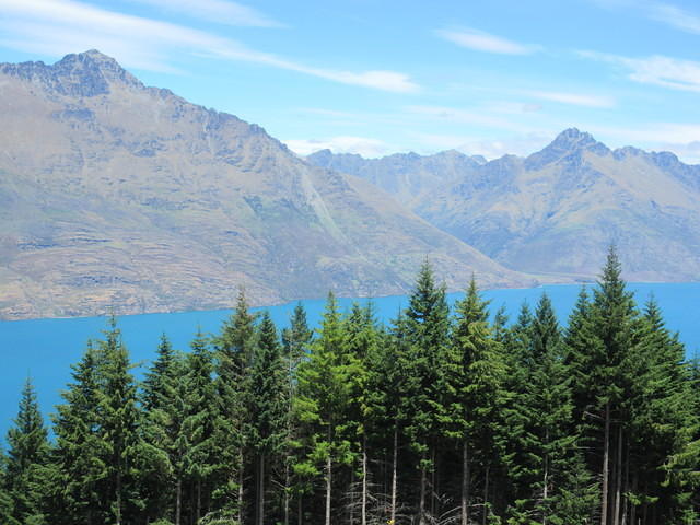 IMG_2203.JPG