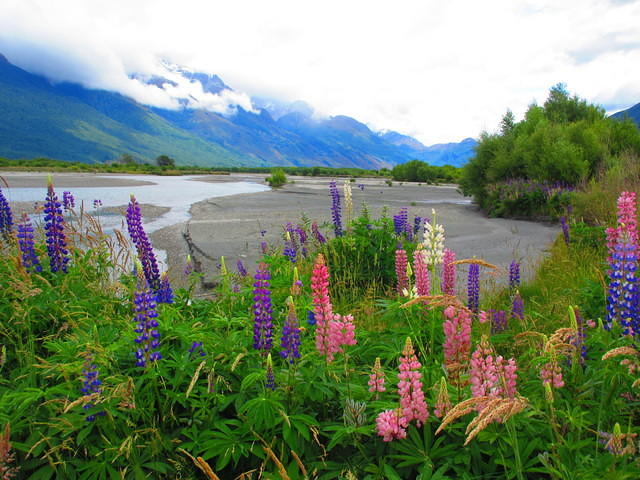 The view of the Dart River.