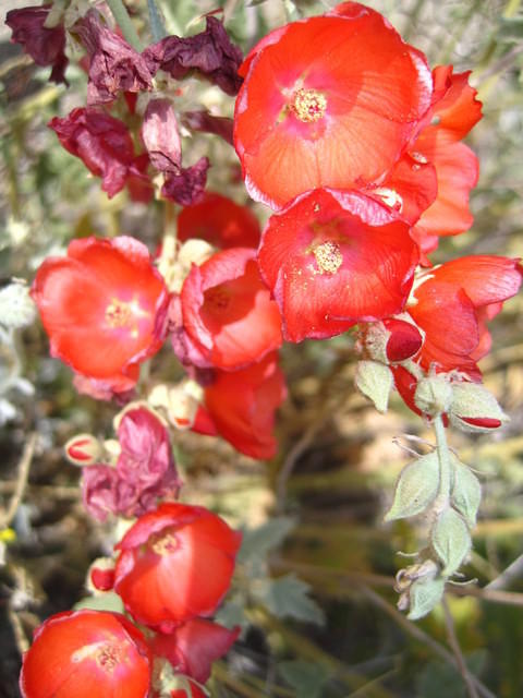 IMG_6839.JPG
