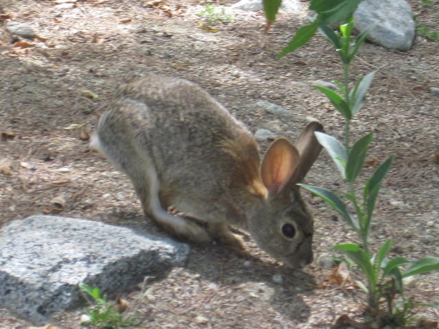 IMG_6856.JPG