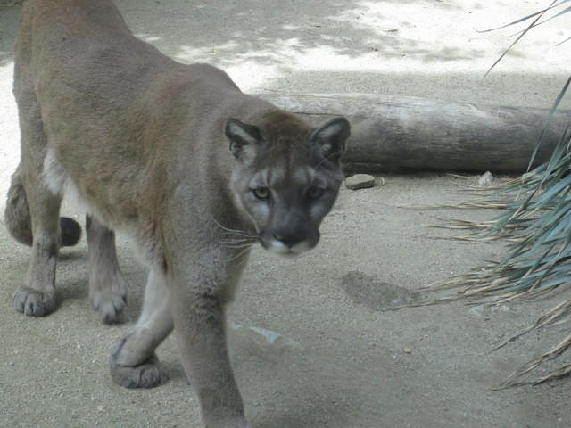 IMG_6882.JPG