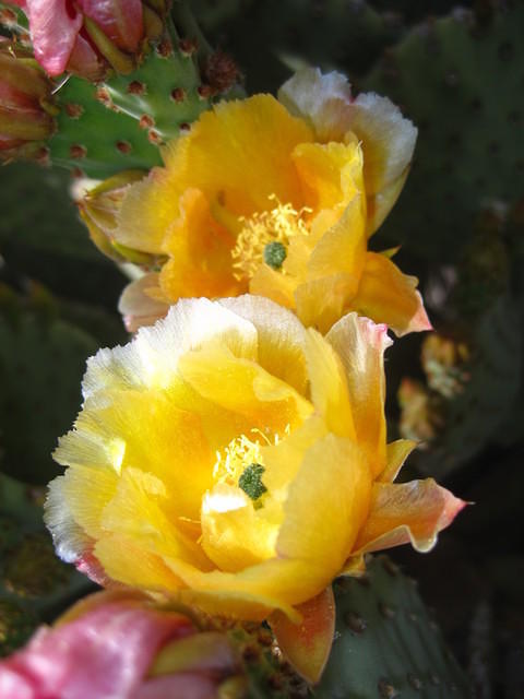 IMG_6902.JPG