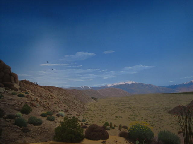 IMG_6903.JPG