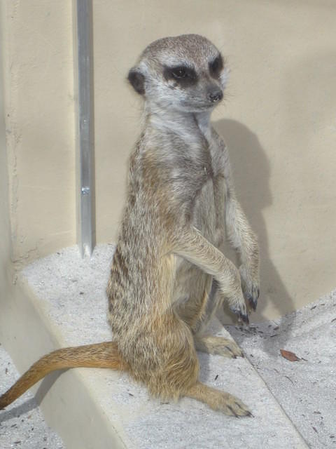 IMG_6924.JPG
