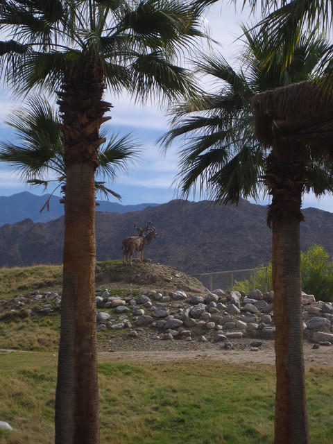 IMG_6936.JPG