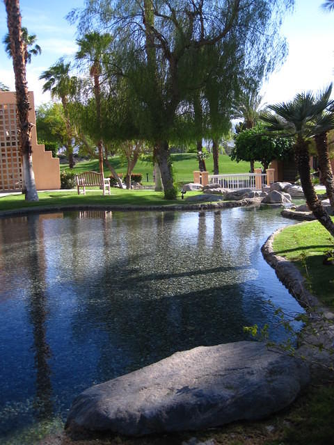 IMG_6937.JPG
