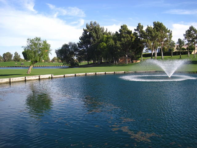 IMG_6941.JPG