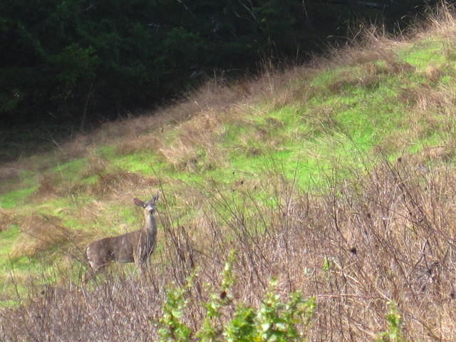 IMG_0318.JPG