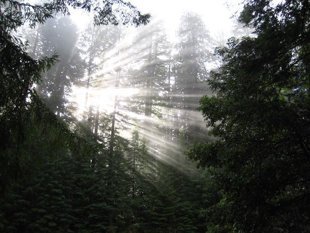 IMG_0344.JPG