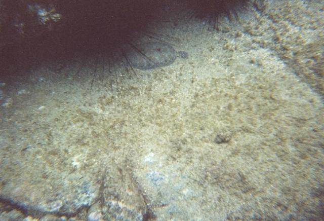 14March009.jpg