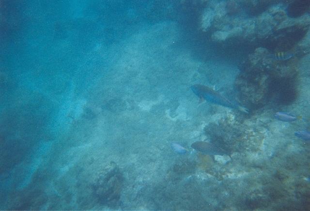 14March045.jpg