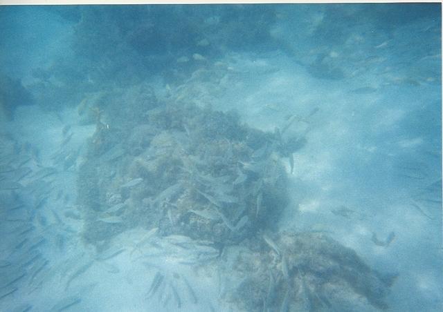 14March048.jpg