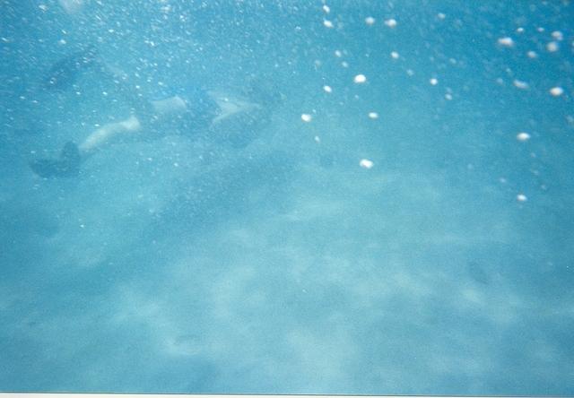 14March049.jpg