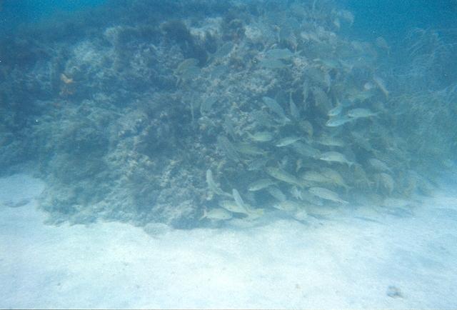 14March051.jpg