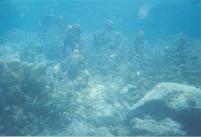 14March060.jpg