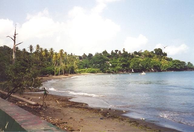 15March071.jpg
