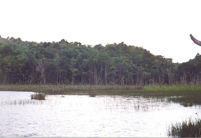 15March120.jpg
