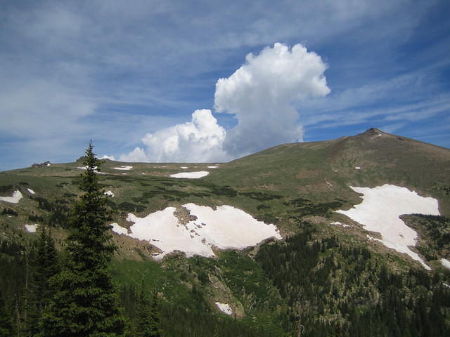 IMG_5572.jpg
