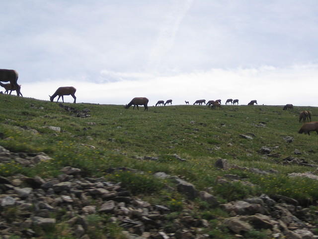 IMG_5579.jpg