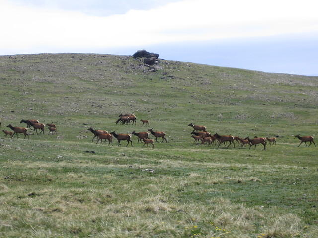 IMG_5584.jpg
