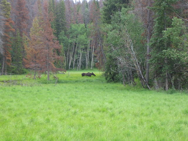IMG_5616.jpg