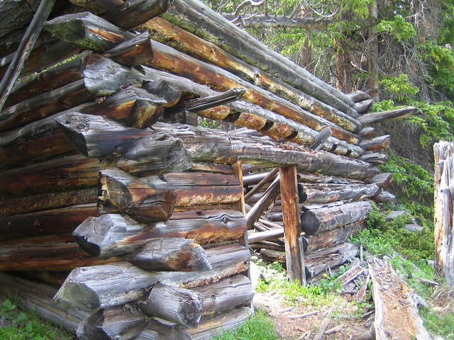Remains of cabins in Big Meadow from the 1880's