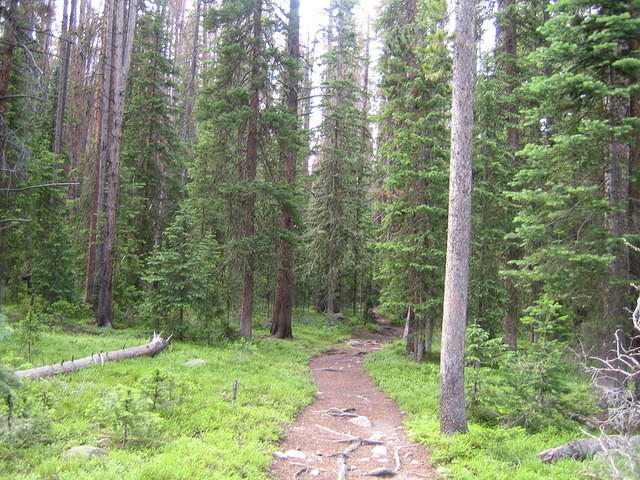 IMG_5632.jpg