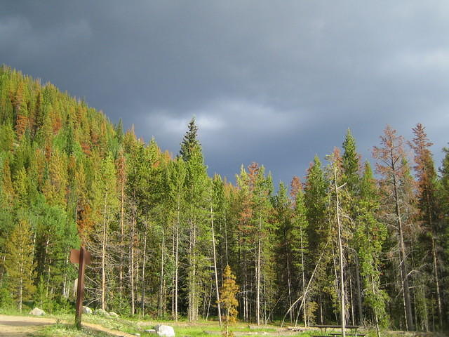 IMG_5647.jpg
