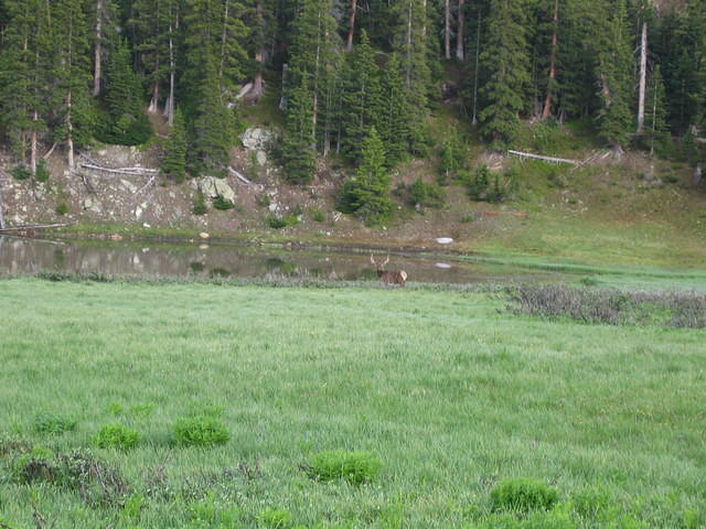 IMG_5655.jpg