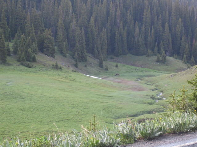 IMG_5661.jpg